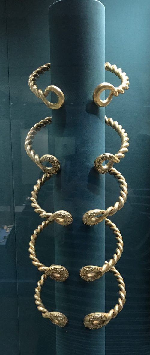 Five torcs from the Ipswich hoard on display. British Museum.