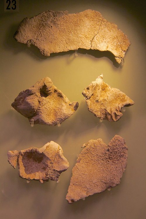 Fragments of the lead that wrapped the silver.