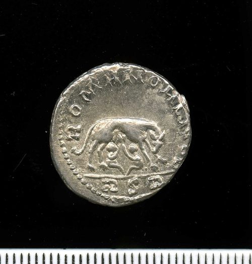 Carausian denarius showing the she-wolf and twins.